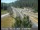 Webcam in Applegate, Kalifornien, 39 km entfernt