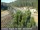 Webcam in Applegate, California, 39.5 mi away