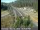 Webcam in Applegate, California, 23.2 mi away
