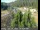 Webcam in Applegate, Kalifornien, 46.5 km entfernt