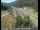 Webcam in Applegate, California, 9.8 mi away
