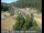 Webcam in Applegate, Kalifornien, 60.2 km entfernt
