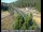 Webcam in Applegate, Kalifornien, 71.8 km entfernt