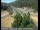 Webcam in Applegate, California, 27.3 mi away