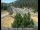 Webcam in Applegate, California, 11.2 mi away