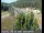 Webcam in Applegate, California, 26.9 mi away