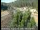 Webcam in Applegate, California, 0 mi away