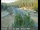 Webcam in Applegate, California, 27.9 mi away