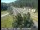 Webcam in Applegate, California, 13.8 mi away