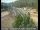 Webcam in Applegate, California, 105.9 km