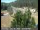 Webcam in Applegate, Californie, 39 km