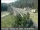 Webcam in Applegate, California, 24.7 km