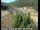 Webcam in Applegate, Kalifornien, 54.6 km entfernt