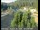 Webcam in Applegate, California, 9.5 mi away