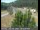 Webcam in Applegate, California, 53.4 km