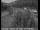 Webcam in Applegate, Kalifornien, 53.4 km entfernt