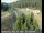Webcam in Applegate, Kalifornien, 53.4 km entfernt