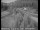Webcam in Applegate, Californien, 69.7 km