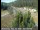 Webcam in Applegate, California, 53.4 km