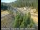 Webcam in Applegate, Californie, 69.7 km