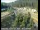 Webcam in Applegate, Californien, 40.5 km