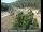 Webcam in Applegate, Kalifornien, 44.3 km entfernt