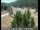 Webcam in Applegate, Kalifornien, 53.4 km entfernt