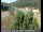 Webcam in Applegate, California, 9.5 mi away