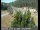 Webcam in Applegate, Kalifornien, 31.8 km entfernt