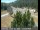 Webcam in Applegate, Kalifornien, 52.2 km entfernt