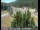 Webcam in Applegate, California, 20.1 mi away