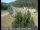 Webcam in Applegate, California, 13.8 mi away