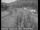 Webcam in Applegate, California, 8.8 mi away