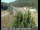 Webcam in Applegate, California, 26.9 mi away