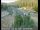 Webcam in Applegate, Kalifornien, 33.3 km entfernt