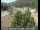 Webcam in Applegate, Californien, 70.9 km
