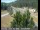Webcam in Applegate, California, 26.9 mi away