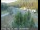 Webcam in Applegate, California, 9.5 mi away