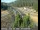 Webcam in Applegate, California, 60.1 km