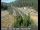 Webcam in Applegate, California, 53.4 km