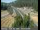 Webcam in Applegate, California, 58.7 km