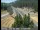Webcam in Applegate, Californien, 60.1 km