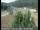 Webcam in Applegate, Kalifornien, 53.4 km entfernt