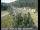 Webcam in Applegate, California, 39.5 mi away