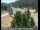 Webcam in Applegate, California, 23.2 mi away