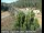 Webcam in Applegate, Californie, 34.7 km