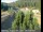 Webcam in Applegate, Californien, 31.8 km