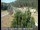 Webcam in Applegate, Californien, 40.5 km