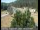 Webcam in Applegate, Kalifornien, 60.2 km entfernt