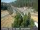 Webcam in Applegate, California, 18 mi away
